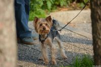 DSC_0042