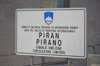 DSC_0250